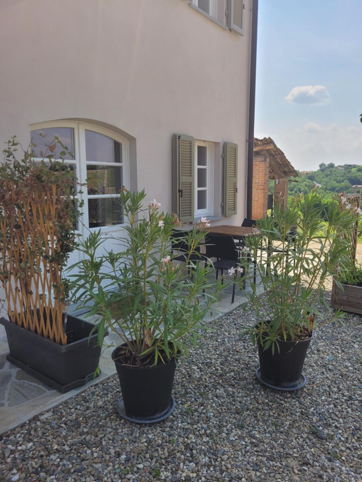 Cascina Allegria Castelnuovo  Exterior photo